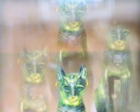 ��������� ���������