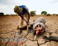 ��Ѫ���������Ƿ�ó���µ�ɱ¾����