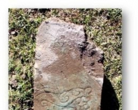 �½��״η���˫��¹ʯ(ͼ)