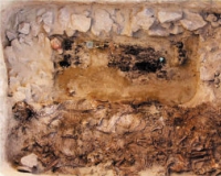 2014�½����￼�ųɹ���˶ ǧ��������˵��������