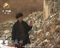 ɽ������Ϊ��úǿ�������լ �������������