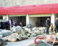 ��������֮��˥�䣺�»�����20��