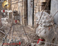 ɽ������Ž�����͵���������̷��½���ǧ��