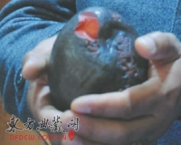 200Ԫ���ԭʯ49�����֣�������Ʒ������480��