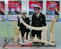 �ൺ�״β���ľ��˽������ֵ22��