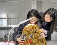 ���ټ��鱦��26�������������;����