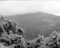 �ƻ������������� �ؼ�ͼ��������Ѷ�չ�