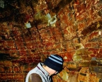 ���˹�ĹȺ�ϰ�����ɷ��� ��Ĺ������������