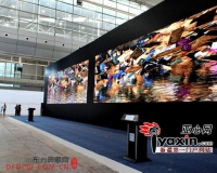相遇丝绸之路:走近新疆国际艺术双年展