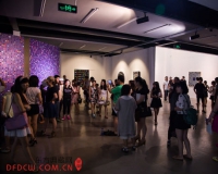 庞智卿孙旭双人作品展798圣点空间开幕