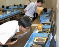 日本兵库县展出百件中国古镜