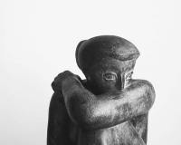 沃尔蒂作品首次来华