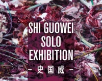 史国威个人作品展将开幕(图)