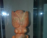 河南史前文化博物馆开馆:文物尽展史前文明
