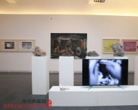常青藤计划2014首届中国青年艺术家推介展开幕