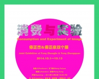 消费与实验:俸正杰俸正泉双个展