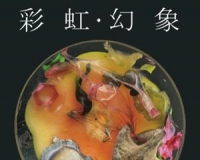 彩虹幻象:苏珊·安克个展将开幕