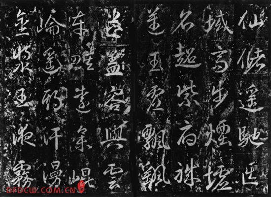 鷨