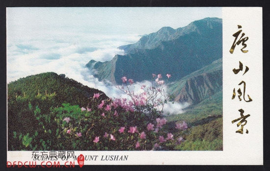 ®ɽ羰