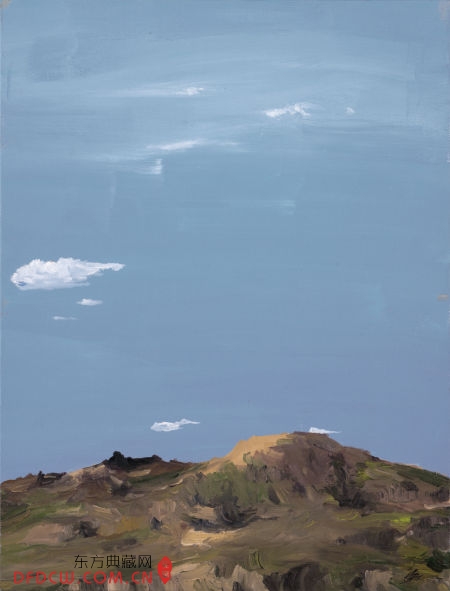 2014  8060cm
