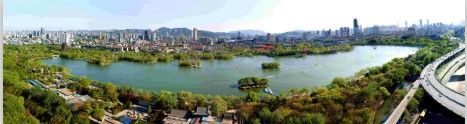 济南博物馆首次收藏图片:影像见证泉城变迁