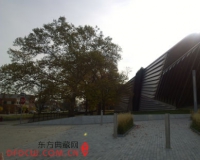 未来的回归:中国当代艺术的别样切面(图)