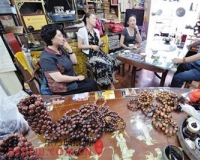 海南降真香成收藏界新宠:顶级藏品最高5万元