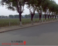 文夏:看不见的隋建国