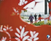 剪纸雕塑提升城市形象:人在画中游
