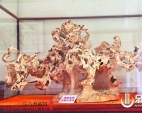 缘系海南天然虫漏沉香