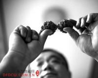 文玩核桃蕴藏大财富