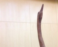惟妙惟肖的根雕天歌