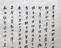 婚房不速客:读邵洵美手札