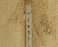 国手张士达与南京图书馆的镇馆之宝