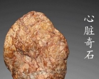 心脏奇石现身上海远大博纳拍卖