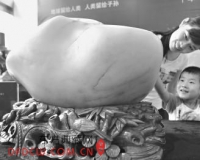 价值亿元和田玉籽料王展出 重90公斤(图)