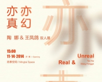 亦真亦幻:陶娜王凤鸽双人展将开幕