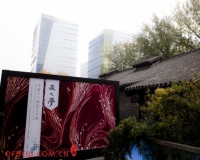 藏之梦:青海手工藏毯艺术展开幕