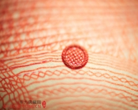 顾长卫个展讲述与人民币的爱恨情仇