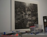 卧游:陆春涛水墨艺术展将亮相美国