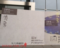 黄勇个展亮相上海新美术馆