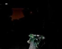 台北故宫南院将开馆:小白菜被建议坐镇引客