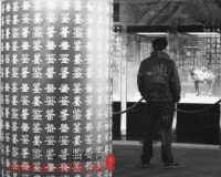 宋刻本《资治通鉴》首亮相 现存年代最早最完整