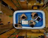 第十一届华赛金奖作品欣赏