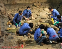 兵马俑之父袁仲一:考古就是探索