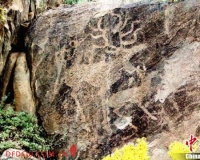 新疆阿勒泰市发现麋鹿及狩猎岩画