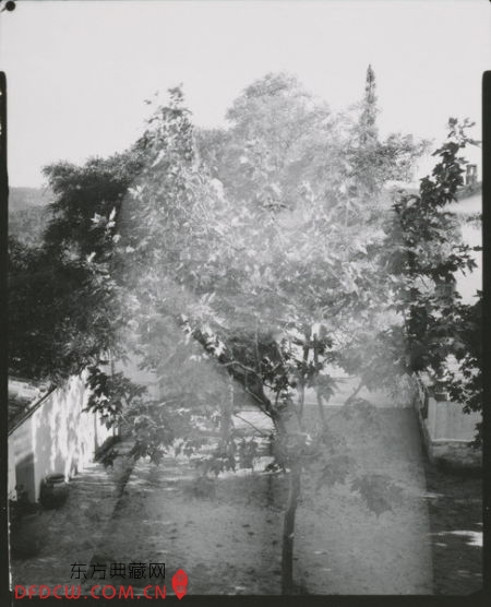 ŵ1˹-˹ 1958 Eleanor,Aix-en-provence ,France 1958 vintage gelatin silver print.