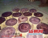 海南黄花梨受捧:有人数万元买回木料只能当柴火
