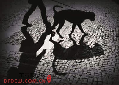  ޹ ļӰȤ Žǿ 