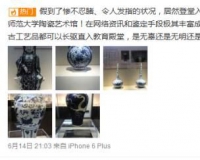 浙江师范大学陶瓷艺术馆事件调查